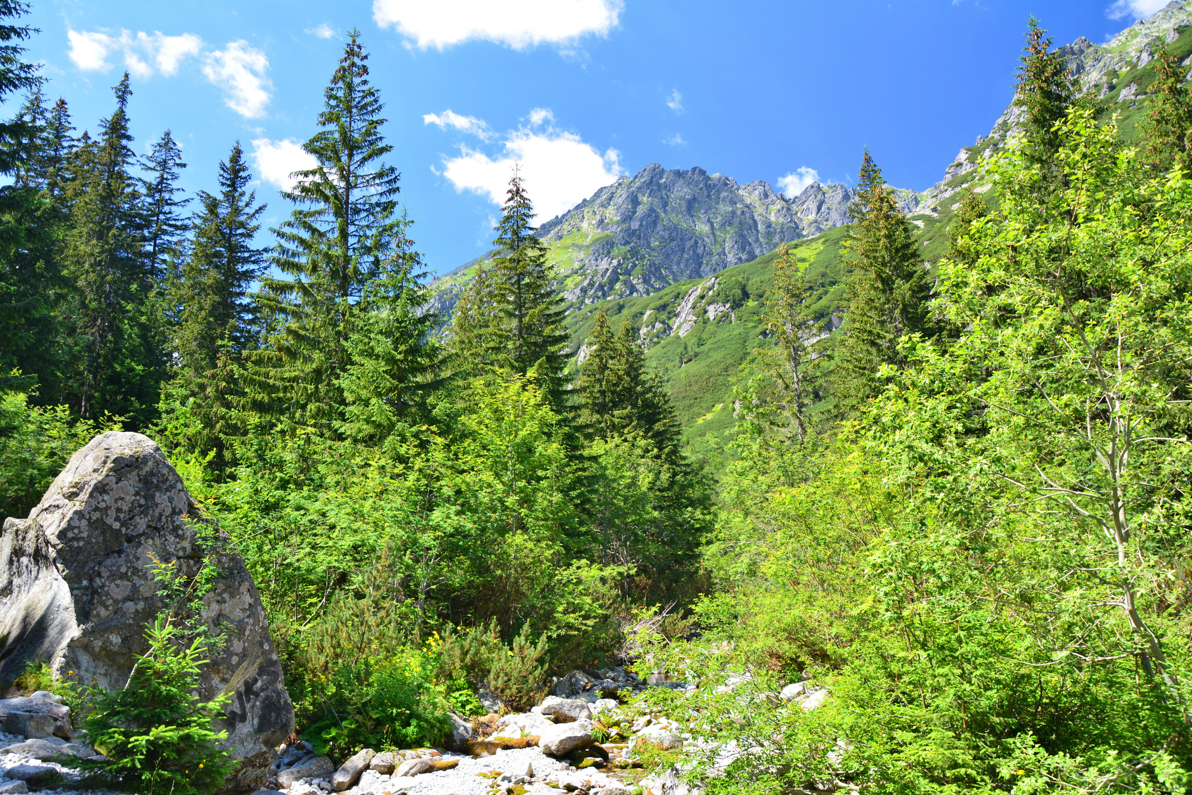 roztoky (4).webp